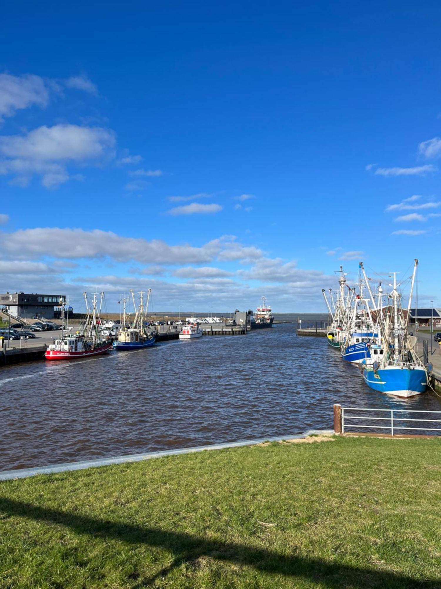 Meerblick - Apartment Blaue Nordseewelle Dornumersiel Exterior foto